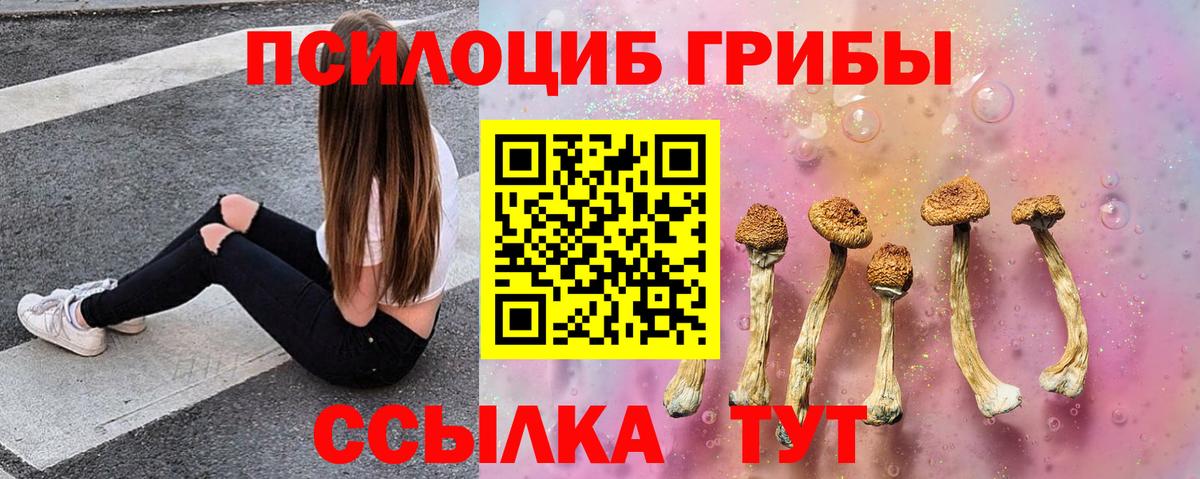закладка  Вход с VPN  Галлюциногенные грибы ЛСД  Малгобек  Галлюциногенные грибы прущие грибы 